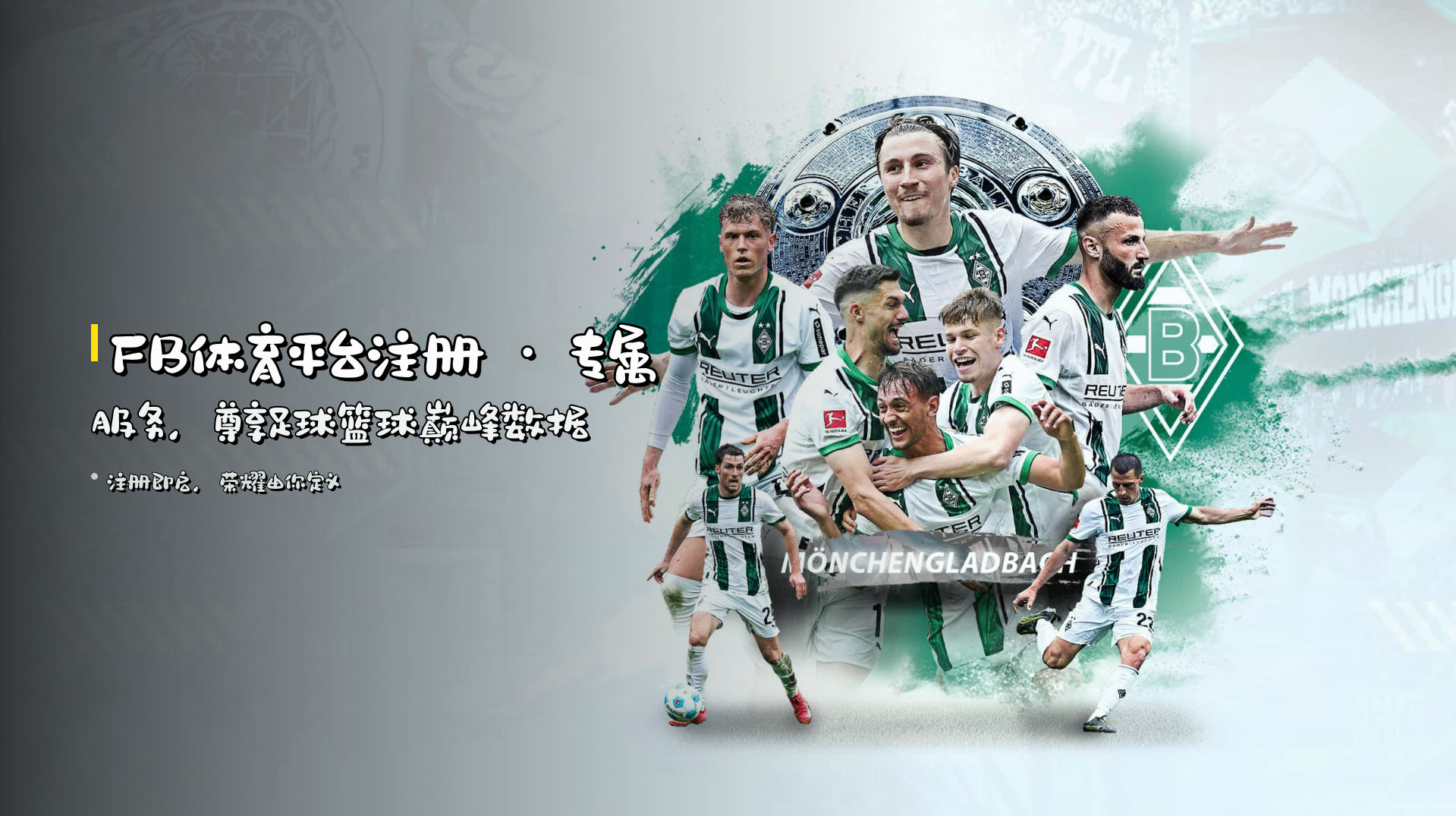 <strong>FB体育平台注册</strong> · 专属服务，<br>尊享足球篮球巅峰数据